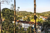 view of the mountains with abundant vegetation