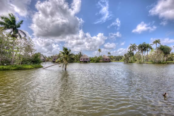 laguna rodeada de palmeras y con cielo azul