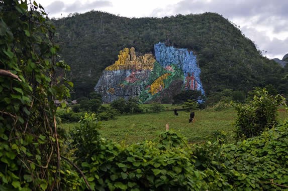 aerial view of the colorful mural 