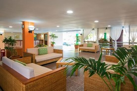 Wide vegetation in the hotel lobby