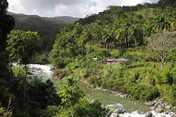 river surrounded by vegetation and rocks