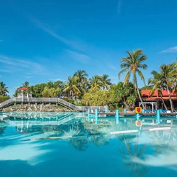 Large pool with greenery at the hotel