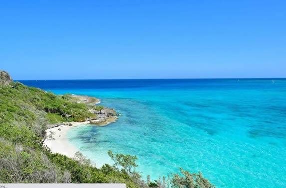 playa con abundante vegetación y rocas a la orilla