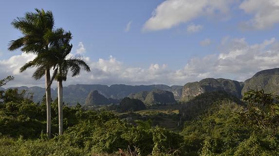 paisaje montañoso con abundante vegetación