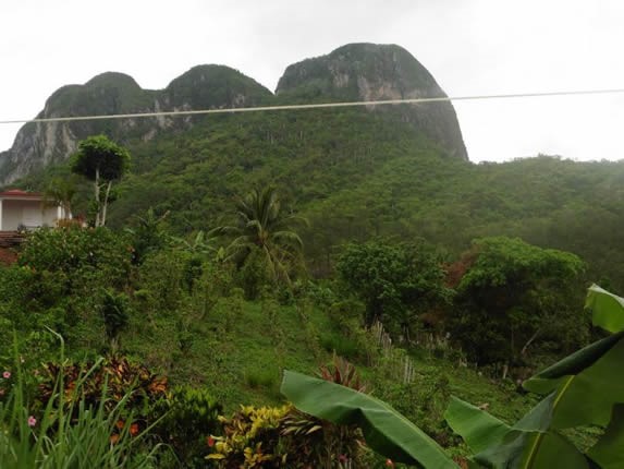 view of the green mountains and mogotes