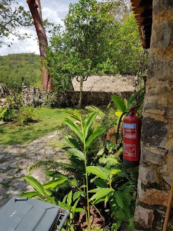 vista de los jardínes verdes 